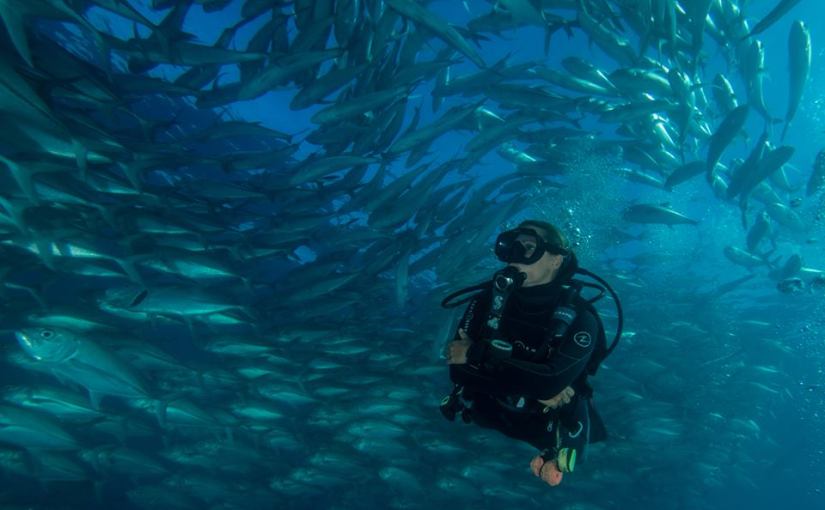 Quit Your Job and Become a Diving Instructor: Cabo
